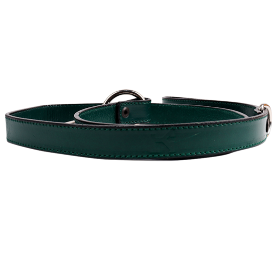Correa LY Mascota Verde
