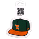 Stickers Leones Stickers Leones