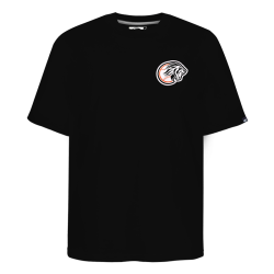 Playera Leones Bandera Ngo Caballero