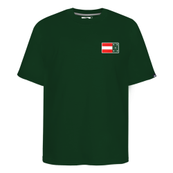 Playera Leones Bandera Verde Caballero