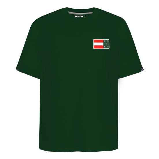 Playera Leones Bandera Verde Caballero Playera Leones Bandera Verde Caballero