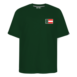 Playera Leones Bandera Verde Caballero Oversize