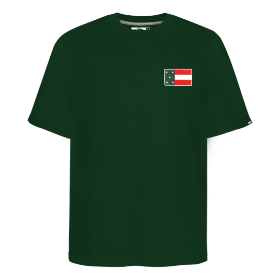 Playera Leones Bandera Verde Caballero