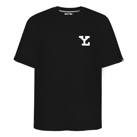 Playera Leones de Yucatán Gris Adulto Oversize